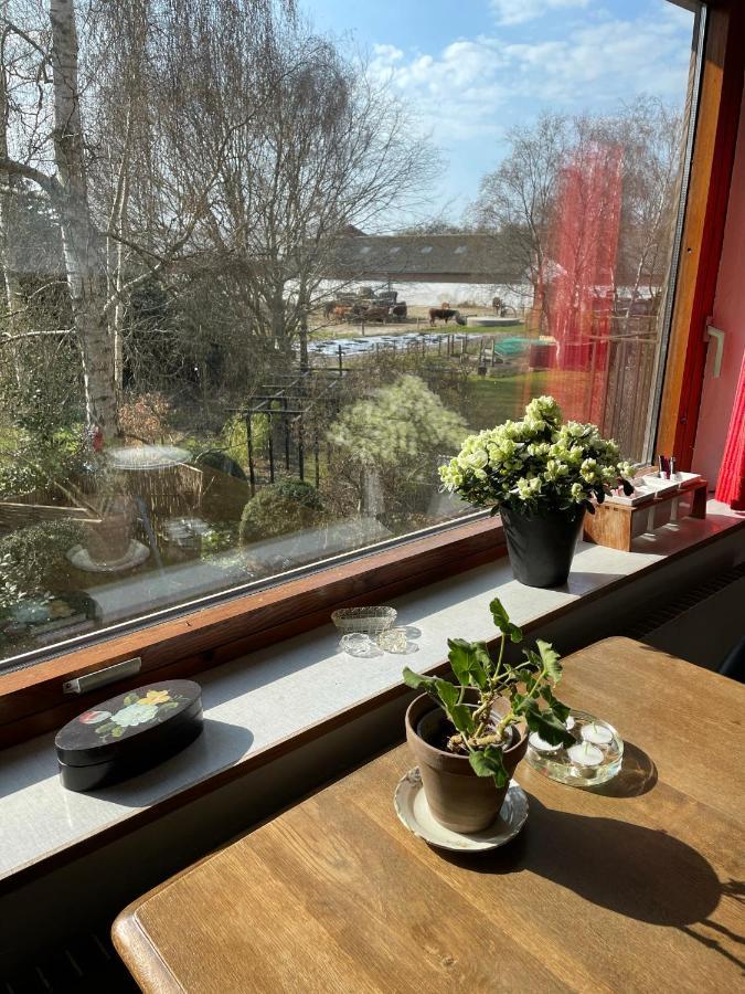 Retro Bolig - Fyldt Med Hygge! Ingen Luksus Kolind Exterior foto