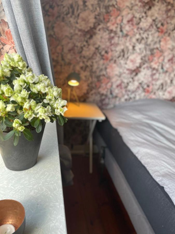 Retro Bolig - Fyldt Med Hygge! Ingen Luksus Kolind Exterior foto